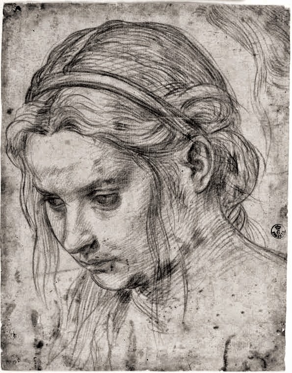 Andrea+Del+Sarto-1486-1530 (18).jpg